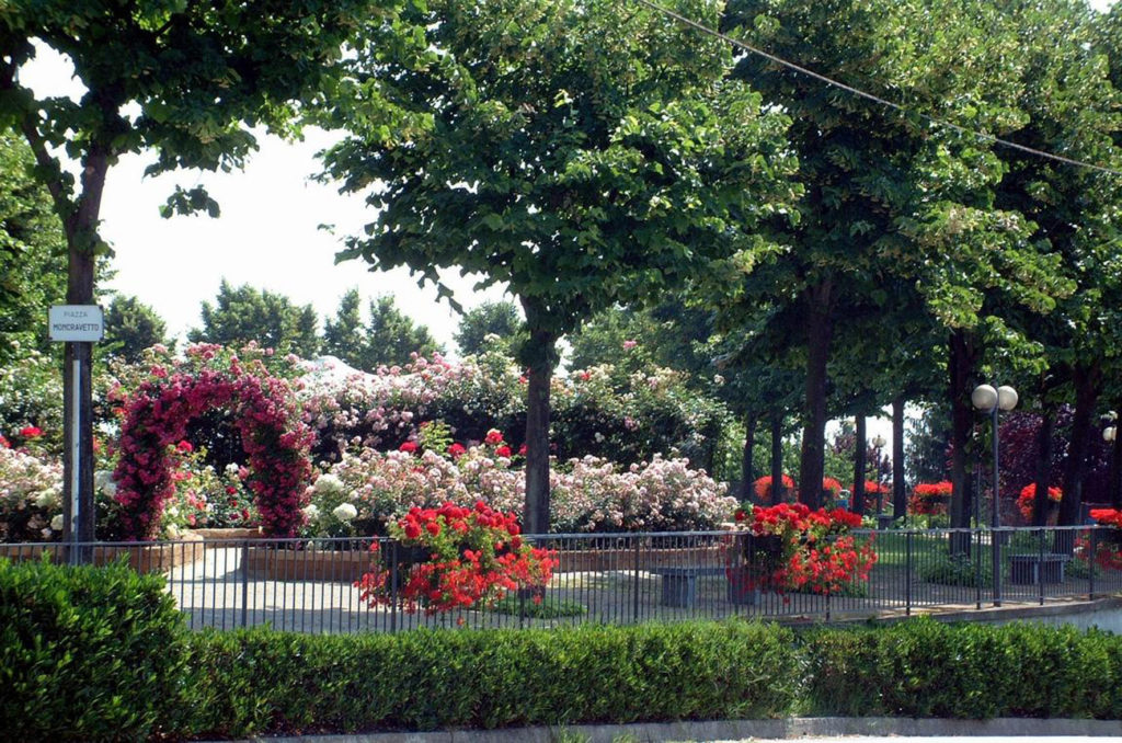  piazza moncravetto fiorita