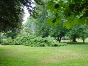 scuola giardini pubblici